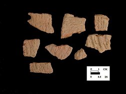 Accokeek cord-marked sherds from Nassawango site 18WO23/6L